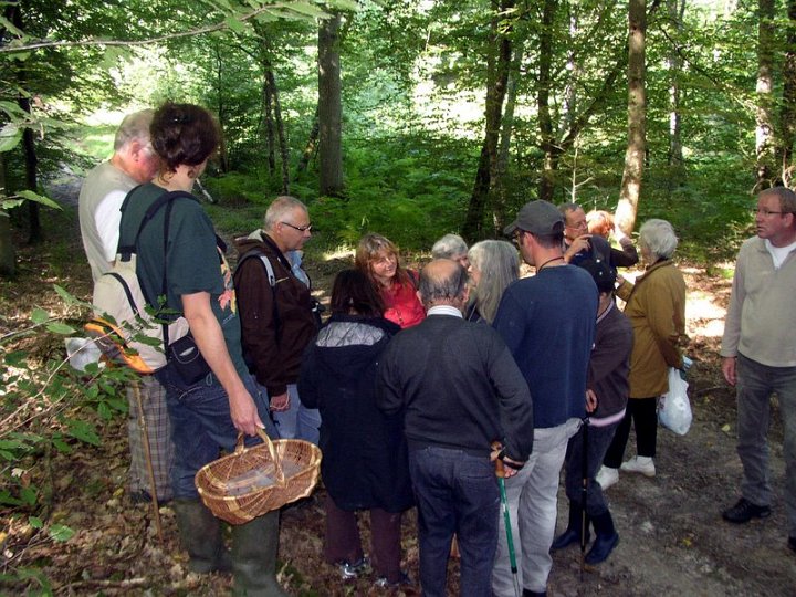 2011 07  Myco bois des Plainvaux 13